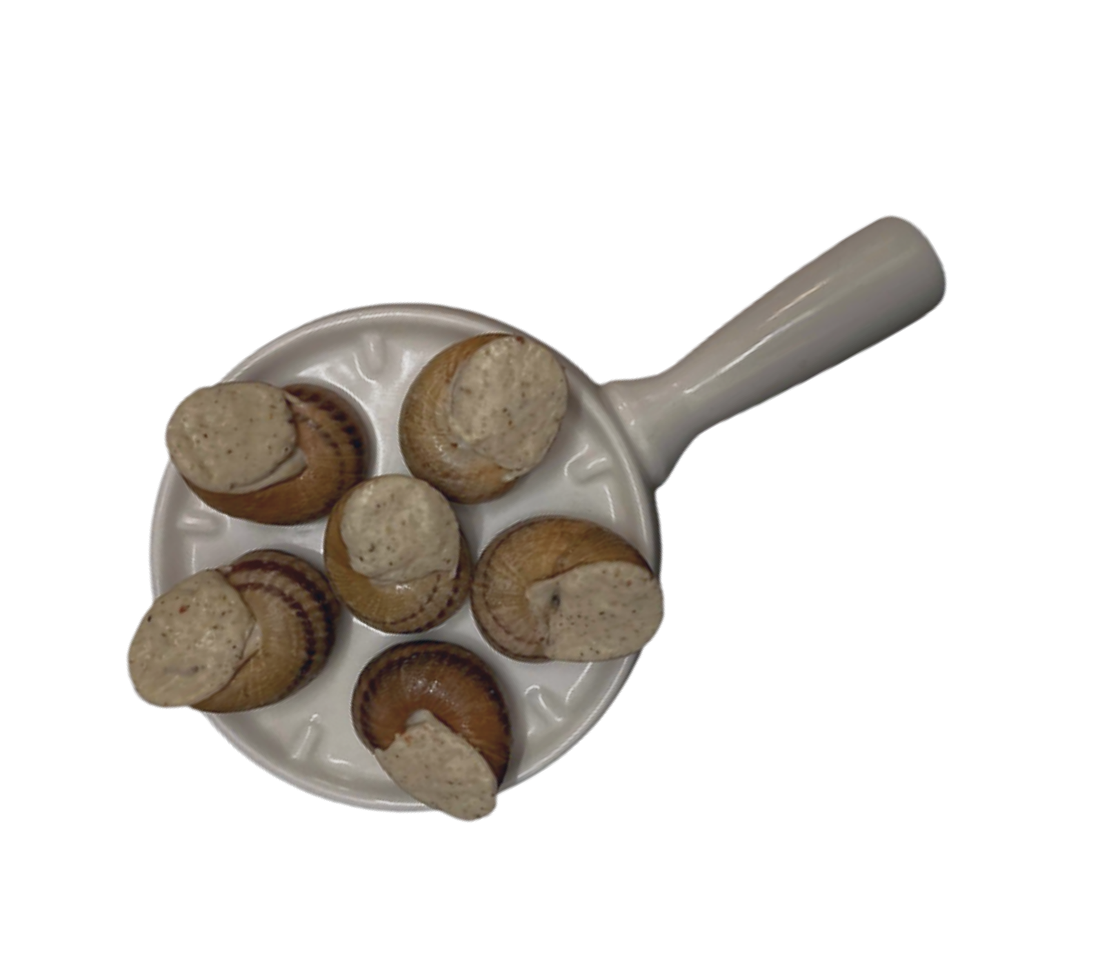 photo_2025-04-14_23-48-31_thumbnail 1